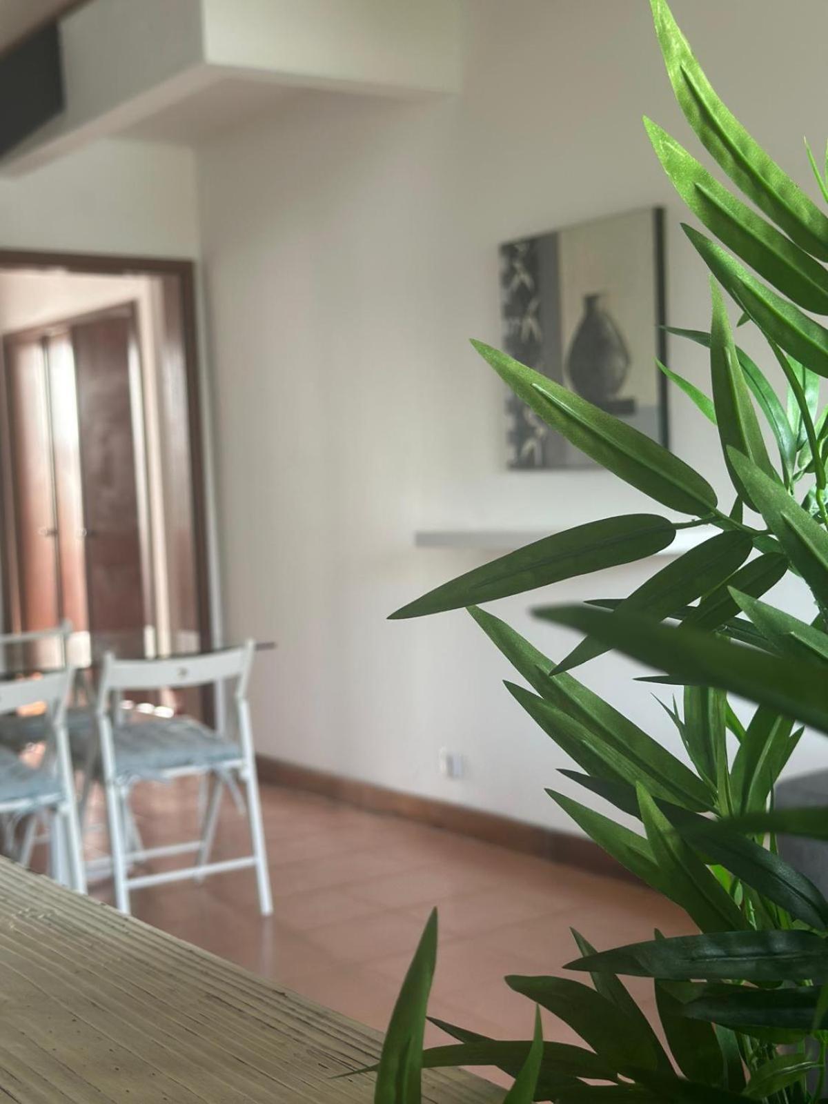 Pedra Apartment Ponta Delgada  Bagian luar foto